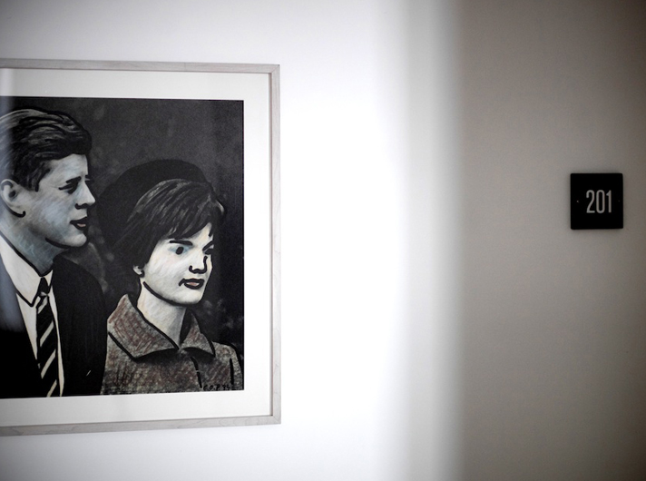 blauegans_art01