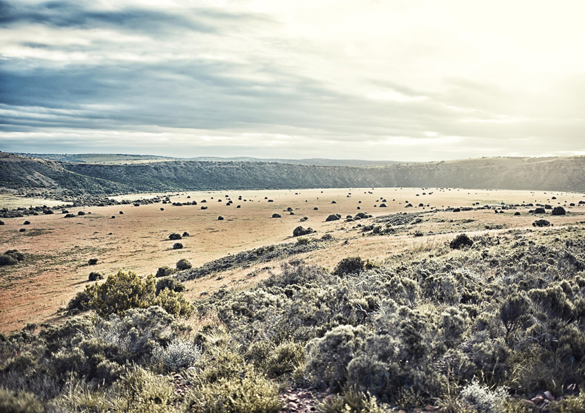 Safari_7