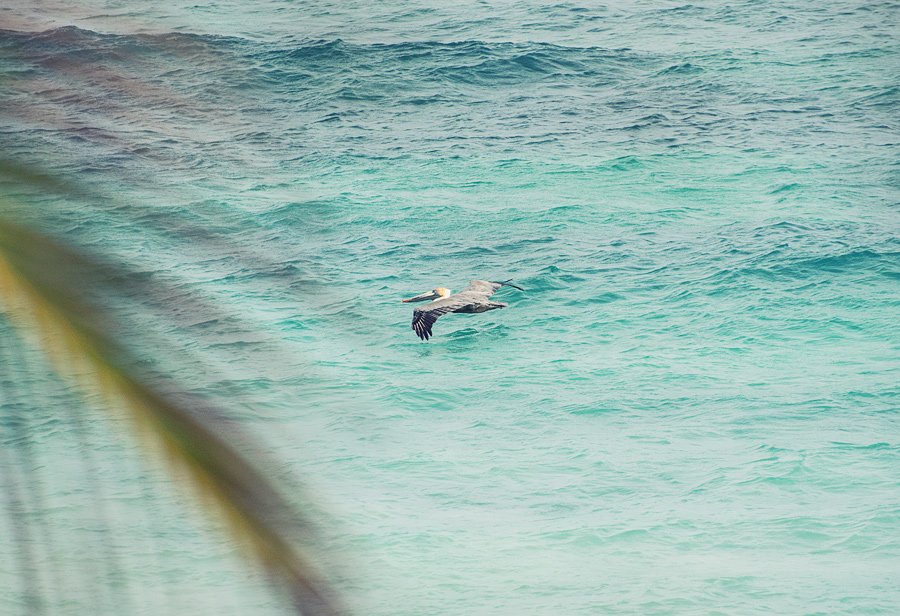 tulum_39