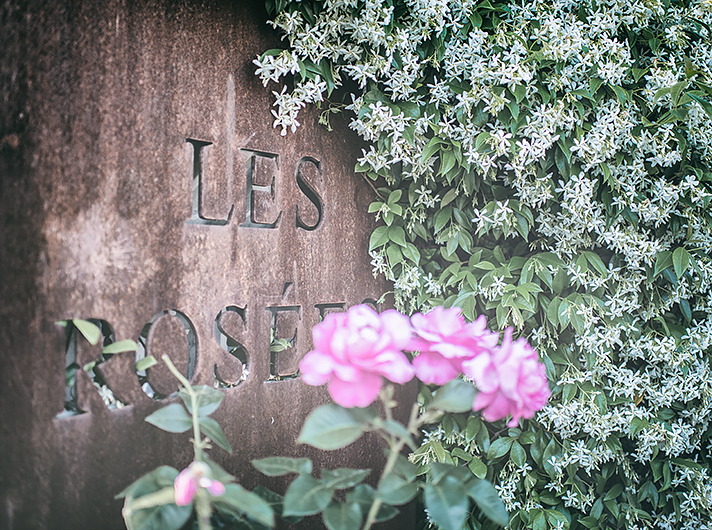 lesrosees4