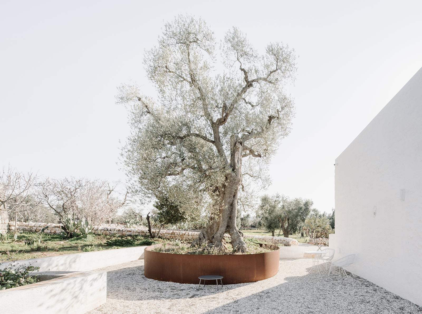 Pretty Hotels: Masseria Dagilupi (Image 8)