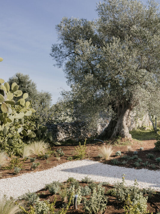 Pretty Hotels: Masseria Dagilupi (Bild 7)