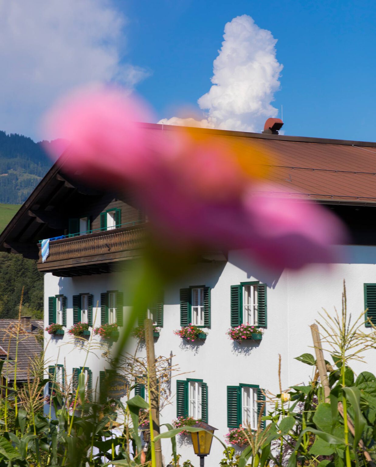 Der Seehof