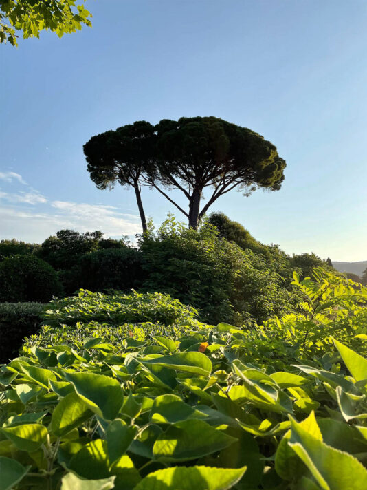 Pretty Hotels: Maison9 (Bild 9)