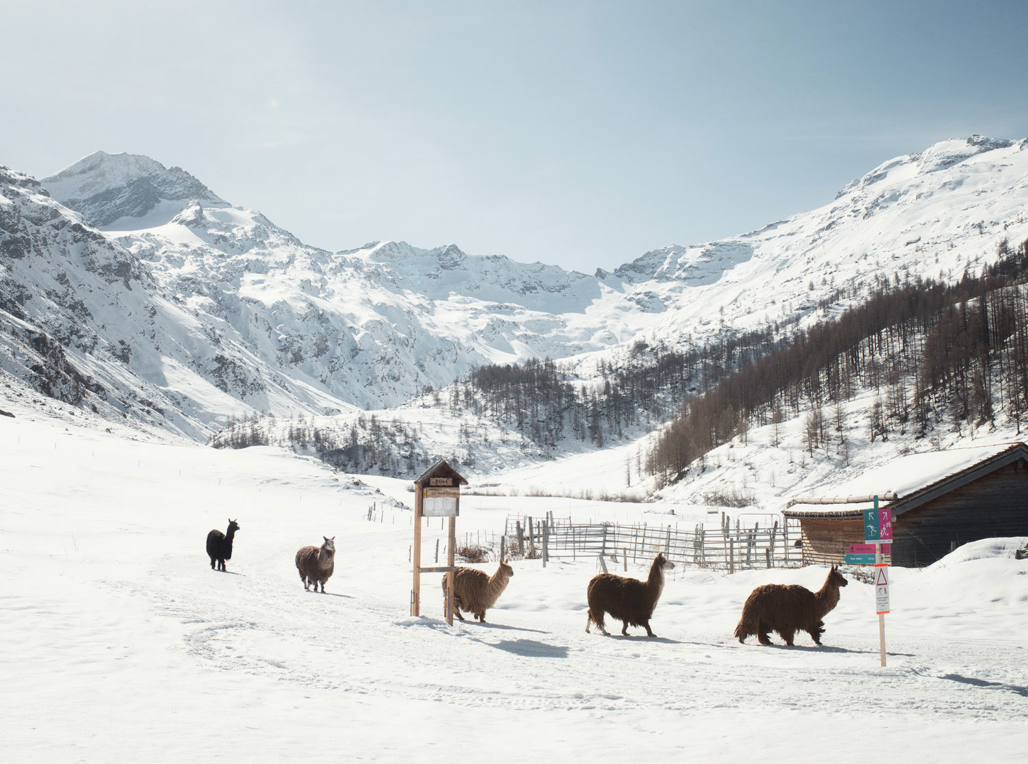 Pretty Hotels: Hotel Fex (Bild 4)