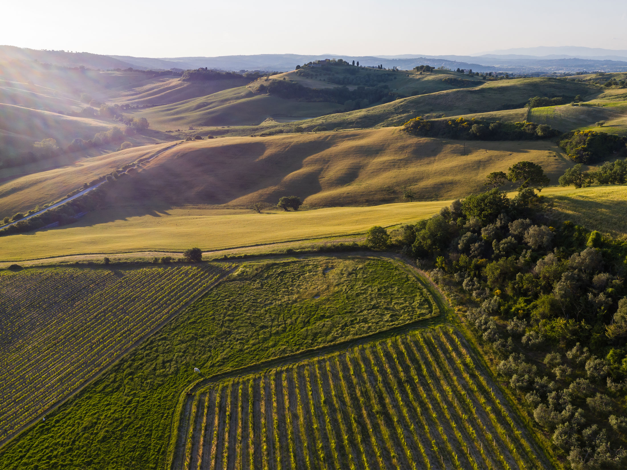 Pretty Hotels: Follonico (Image 13)