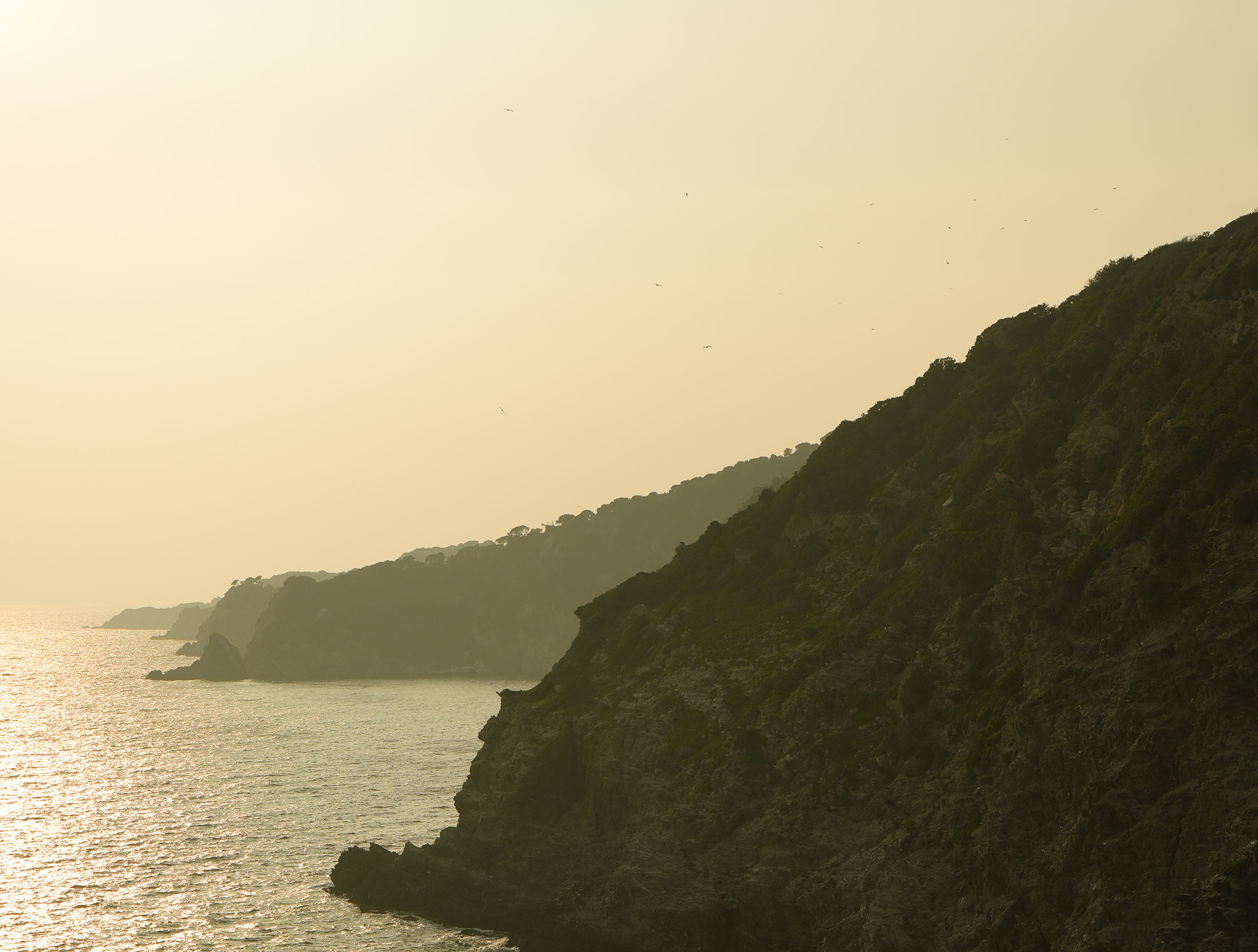Pretty Hotels: Le Porquerollais (Bild 19)