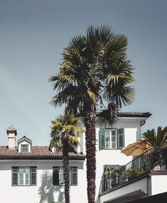 Let's hike  - Boutique Hotels in the Mountains 