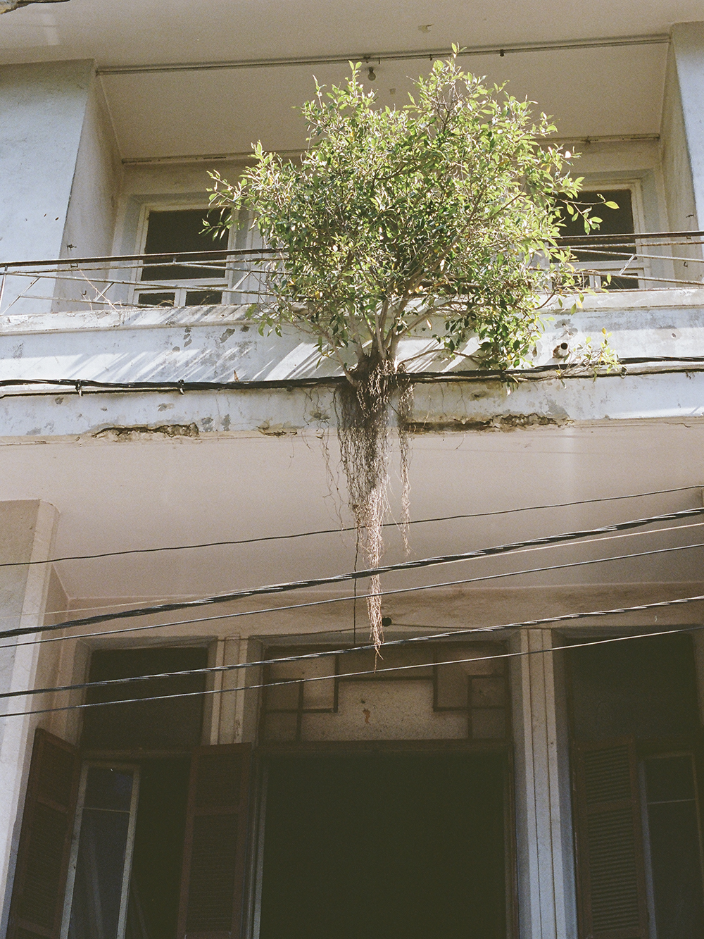 Pretty Hotels: A Visit to Beirut (Image 8)