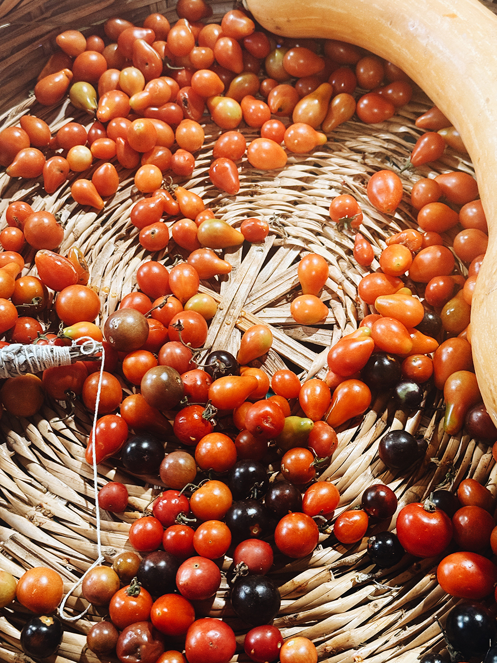 Pretty Hotels: A Visit to Beirut (Image 17)