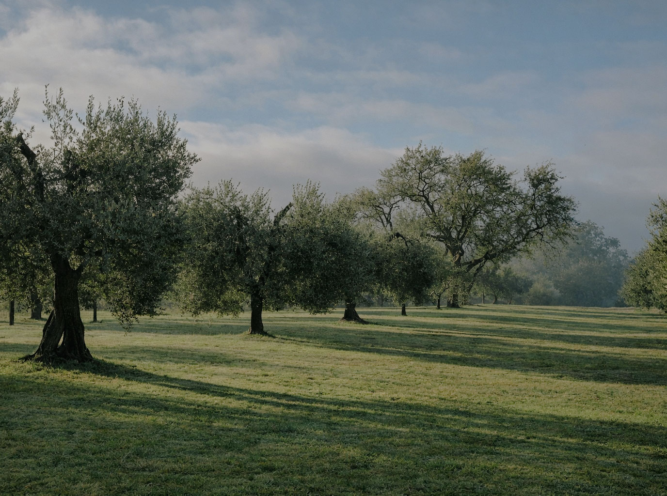 Pretty Hotels: La Saracina (Bild 4)