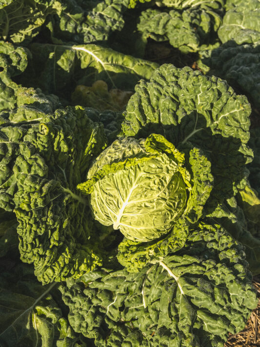 Pretty Hotels: Off Grid Girona (Bild 14)