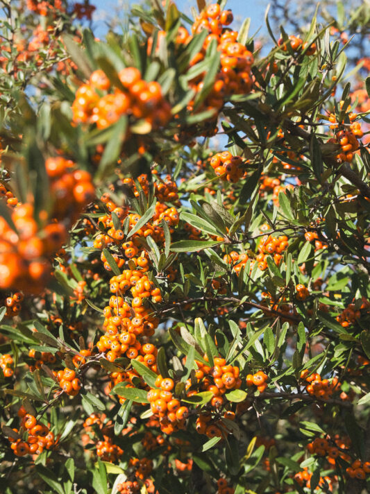 Pretty Hotels: Off Grid Girona (Bild 12)